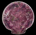 Molded scallop shell plate - Private collection.